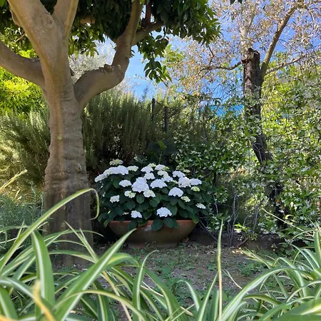 Casa *